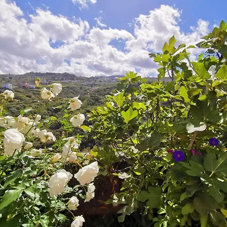 House Of Hearts Wunderschones, Kanarisches Haus Mit Garten, Vielen Terrassen Und Traumblick Hébergement de vacances Santa Maria de Guia de Gran Canaria