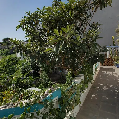House Of Hearts Wunderschones, Kanarisches Haus Mit Garten, Vielen Terrassen Und Traumblick